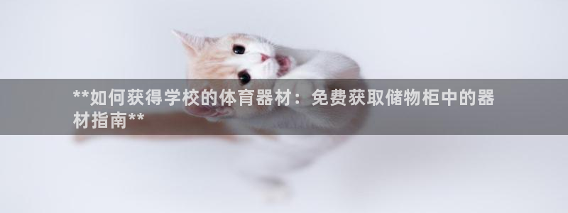 星欧娱乐是正规品牌吗：**如何获得学校的体育器材：免