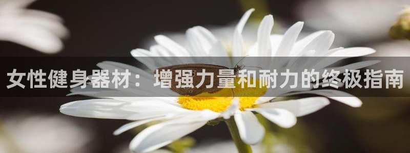 星欧娱乐扣款流程详解图：女性健身器材：增强力量和耐力