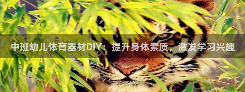 星欧娱乐公司创始人背景故事：中班幼儿体育器材DIY：